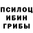 Галлюциногенные грибы Psilocybine cubensis Working Mum